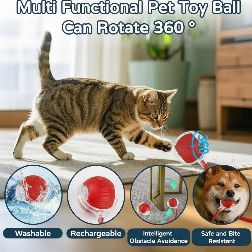 Whisker Chase — Automatic Rolling Cat Toy