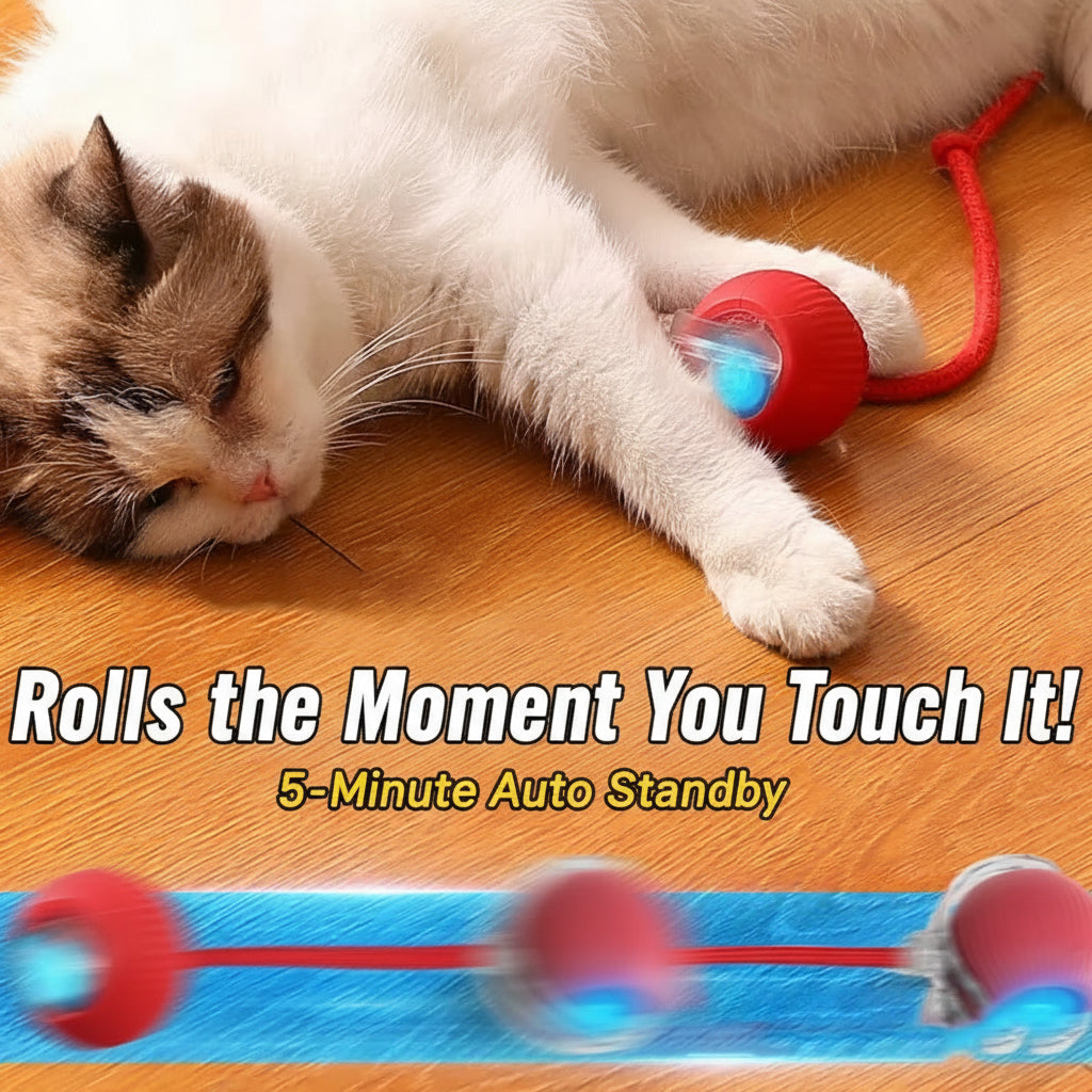 Whisker Chase — Automatic Rolling Cat Toy