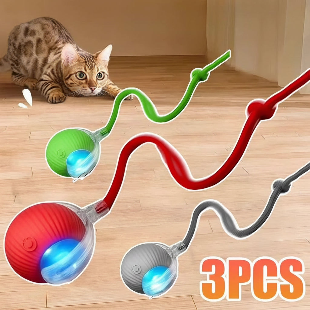 Whisker Chase — Automatic Rolling Cat Toy
